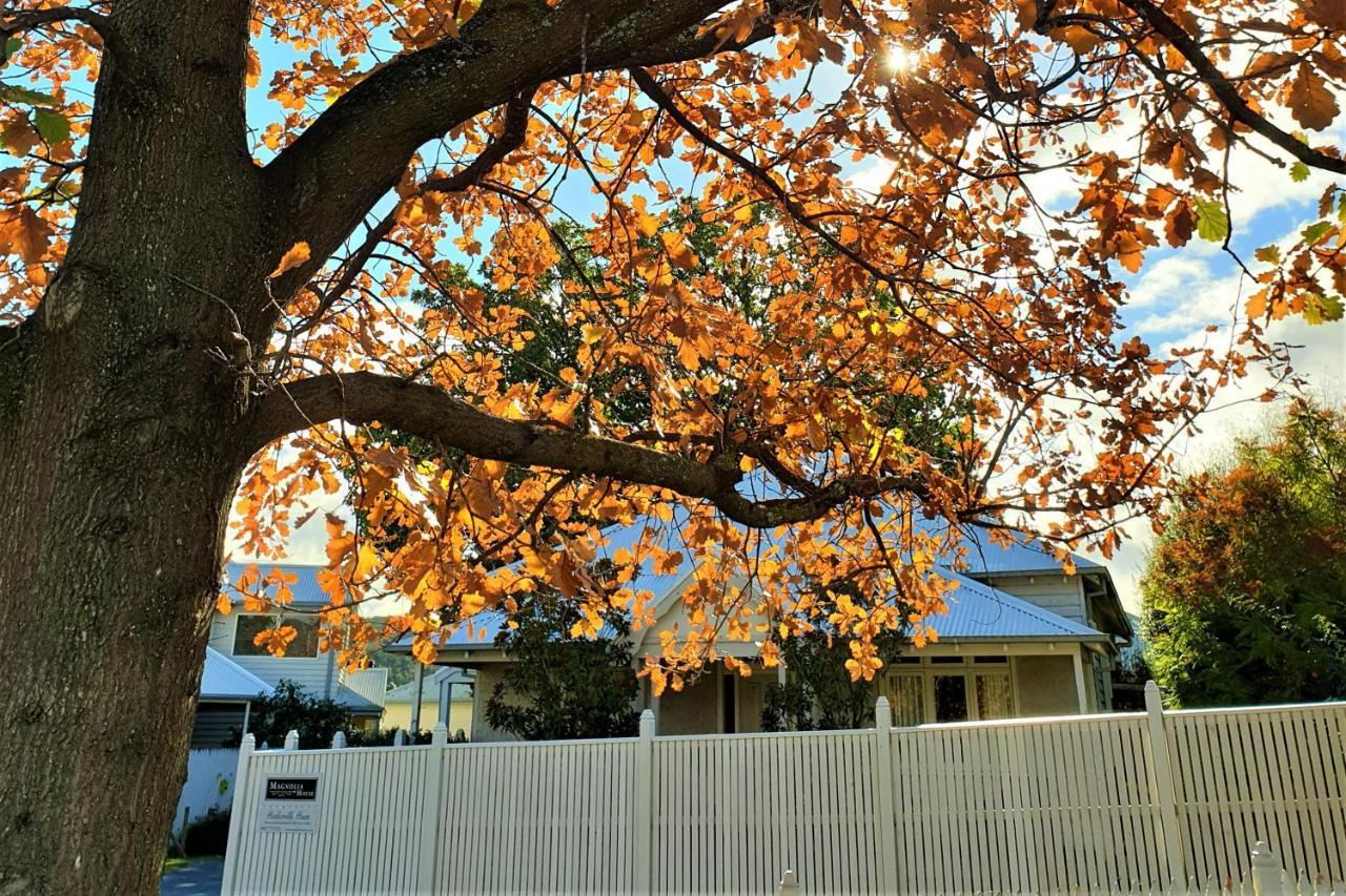 Healesville House - Magnolia House Bagian luar foto